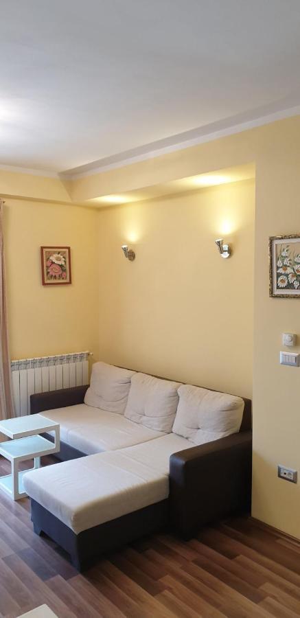 Lili Apartment Novigrad  Exterior photo