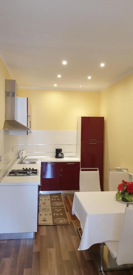 Lili Apartment Novigrad  Exterior photo