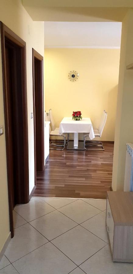 Lili Apartment Novigrad  Exterior photo